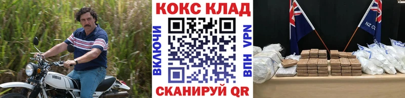 Кокаин Fish Scale  Купить где  Губкин 