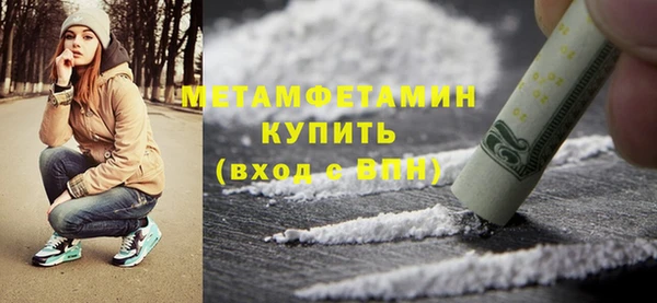 гидра Богородицк