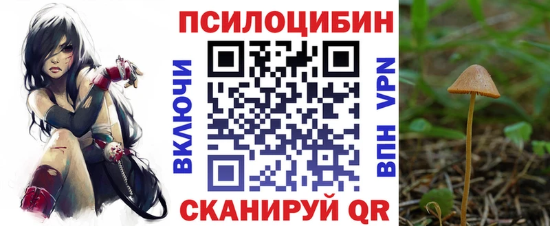 Купить закладки  Губкин  Псилоцибиновые грибы MAGIC MUSHROOMS 