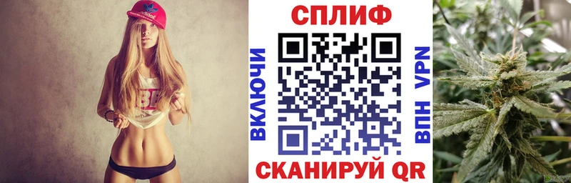Купить закладки  Губкин  Канабис семена 